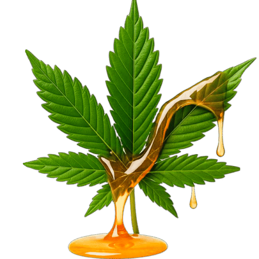 CBD Perejil