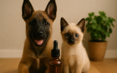 CBD para mascotas: bienestar natural para tu compañero fiel