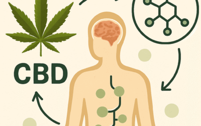 Qué es el CBD y cómo actúa en tu cuerpo