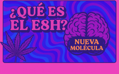 E8H cannabinoide: qué es, propiedades y situación legal