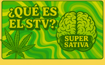 STV (Sativanol): el nuevo cannabinoide semisintético explicado