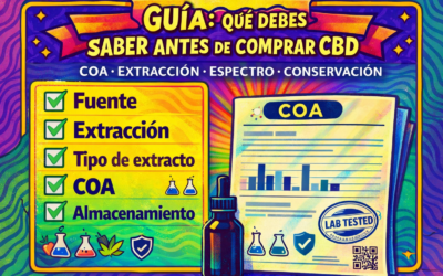 Qué debes saber antes de comprar CBD