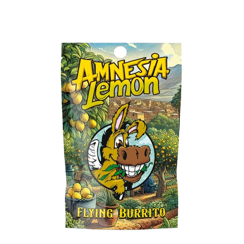Envase Amnesia Lemon Flying Burrito hash CBD