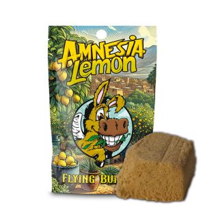 Hash CBD Amnesia Lemon Flying Burrito 5 g