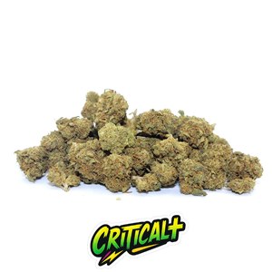 Critical+ Small Buds CBD 50 g - La Cosechera